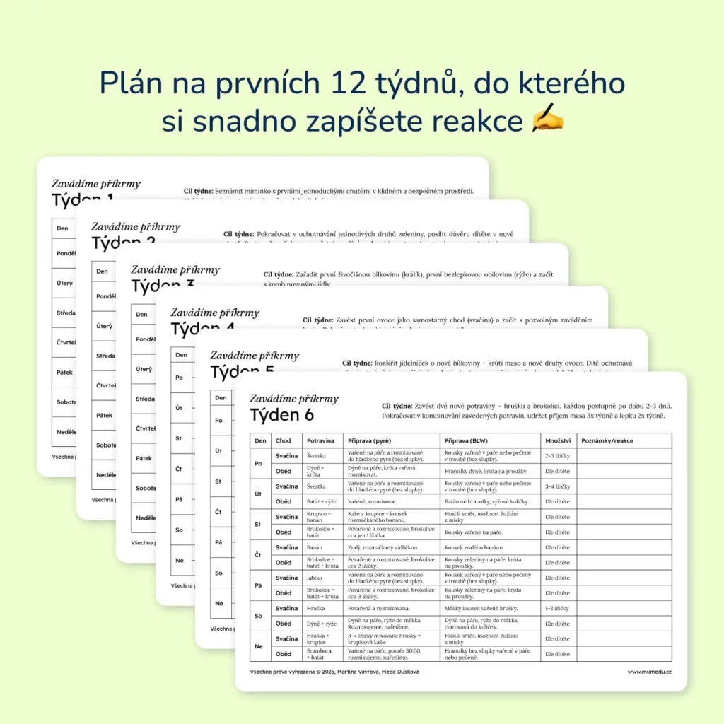 Zavádíme příkrmy – plán na prvních 12 týdnů s možností zapisovat reakce dítěte