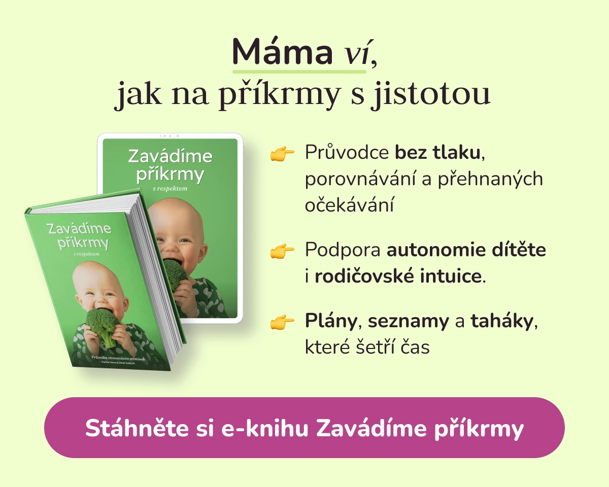 Upoutávka na e-knihu Zavádíme příkrmy s respektem